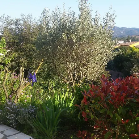 Holiday home Sonne Der Cote D'azur By Interhome *