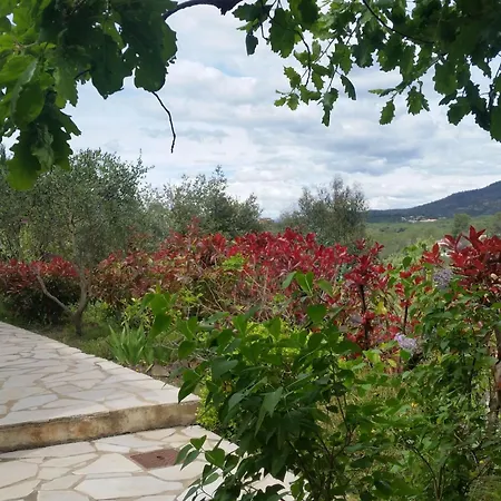 Sonne Der Cote D'azur By Interhome Holiday home *