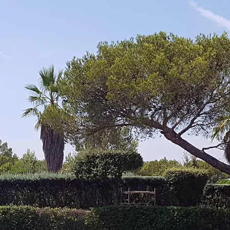 Sonne Der Cote D'azur By Interhome Holiday home *