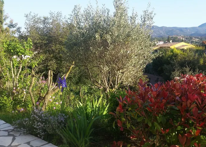 Dom wakacyjny Sonne Der Cote D'azur By Interhome *